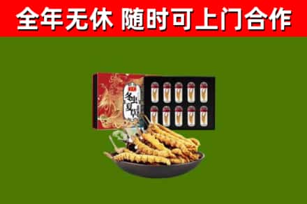 昌吉市回收冬虫夏草价格